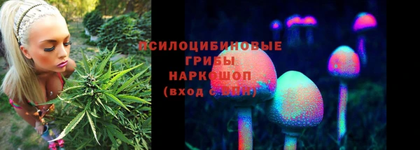 apvp Лиски