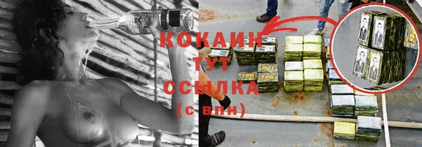 МДПВ Алзамай