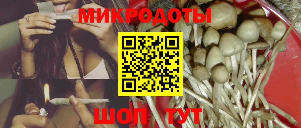 Галлюциногенные грибы Cubensis Нефтекамск